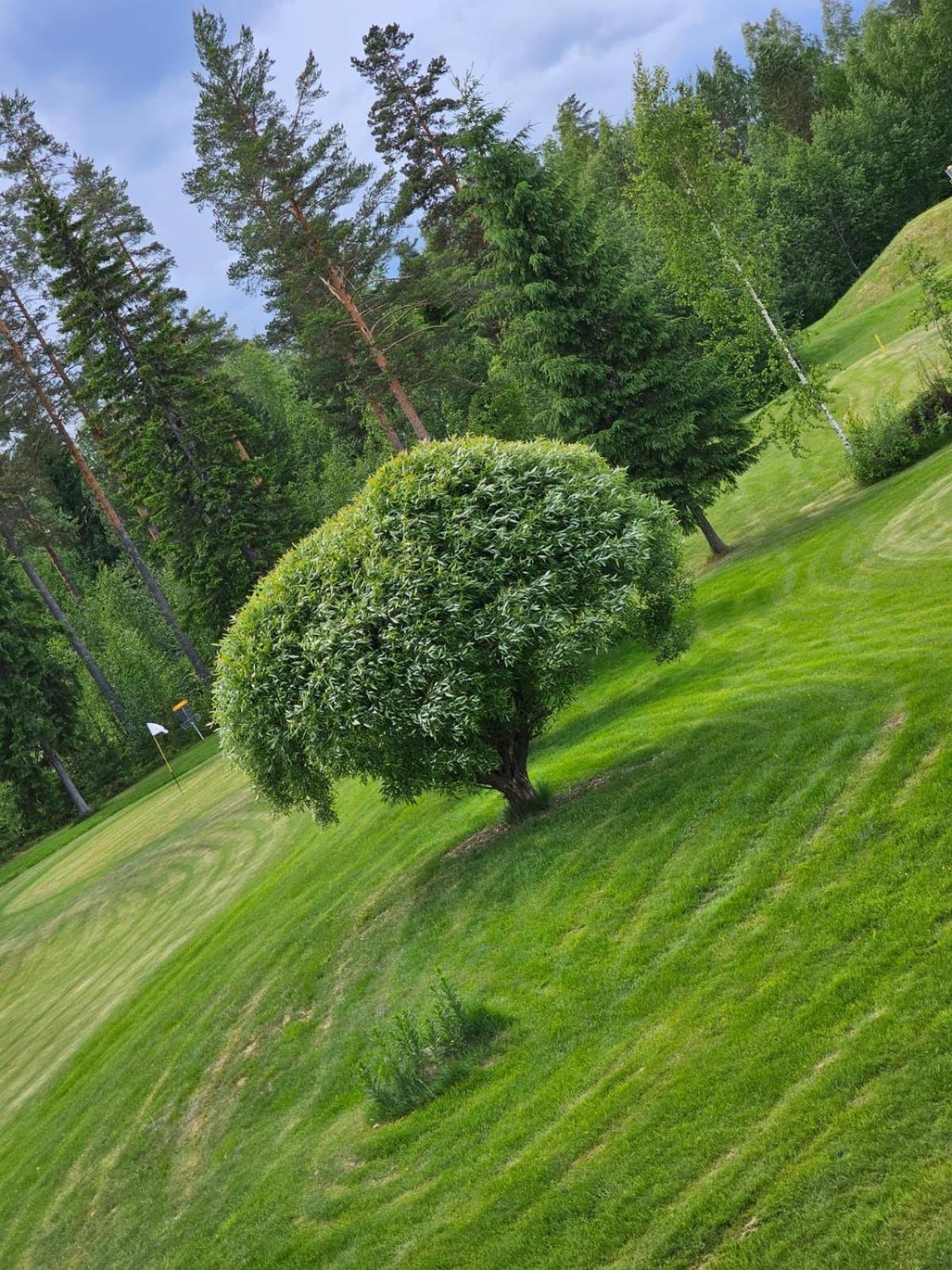 Hotel Kesaeaitat Ähtäri Exterior foto